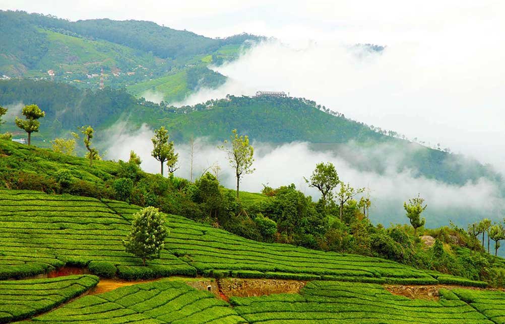Coonoor